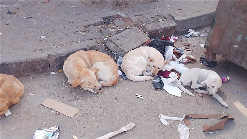 ويؤكد المواطنون أن