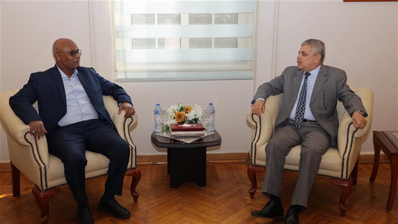 الفريق أسامة ربيع