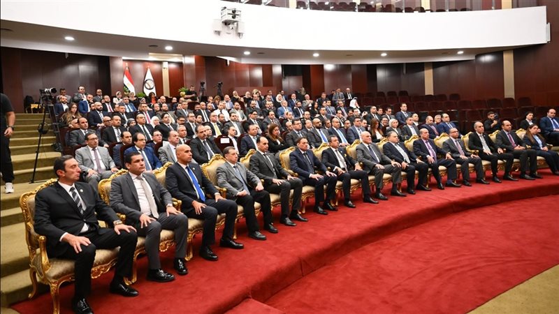 جانب من الفاعلية