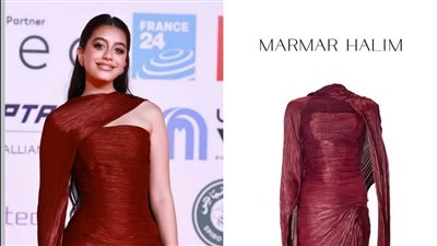 تخطى سعره 163 ألف جنيه.. ياسمينا العبد بإطلالة سالي  شاهين بالقاهرة السينمائي