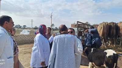 مديرية الطب البيطري بالسويس تتابع تحصين الحيوانات ضد القلاعية والوادي المتصدع 