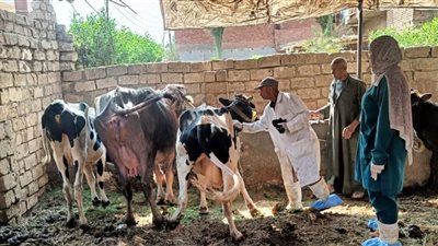 محافظ الغربية يتابع جهود الطب البيطري لحماية الثروة الحيوانية