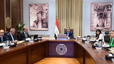 رئيس الوزراء يلتقي وزير البترول لاستعراض عددٍ من الملفات  