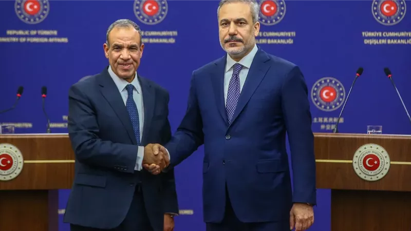 وزيرا خارجية مصر