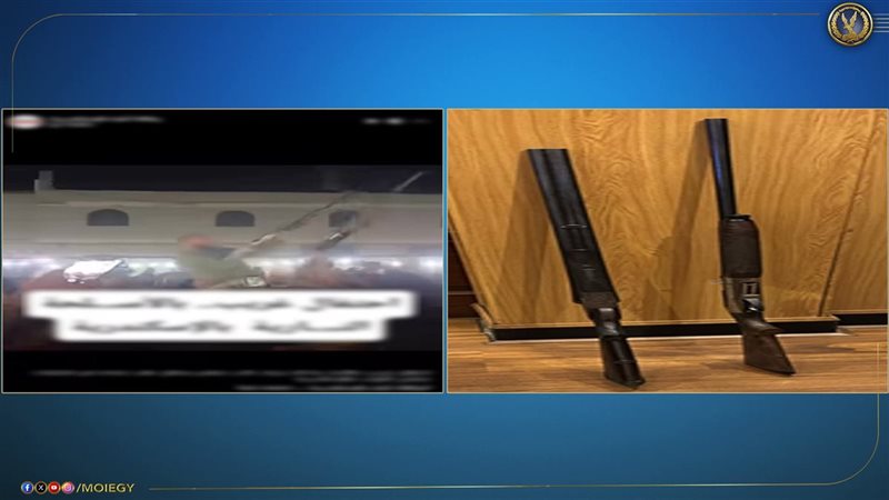 البنادق المضبوطه،فيتو