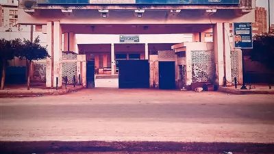 مستشفى الشاملة ينقذ شابا بعد تناوله حبة الغلة السامة في كفر الدوار