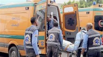 إصابة 4 أشخاص بحادث تصادم موتوسيكل وتوك توك بالدقهلية 