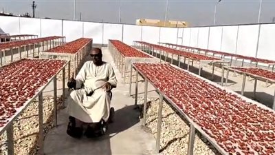 إسناد إدارة مجمع الصناعات الغذائية لتجفيف الطماطم لأحد رواد ذوي الهمم بالأقصر