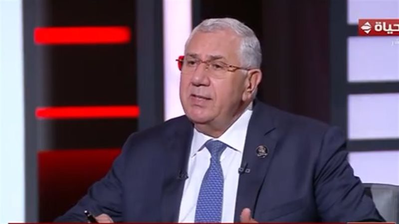 الدكتور السيد القصير