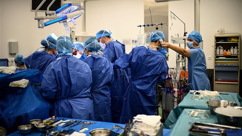 زراعة الأعضاء