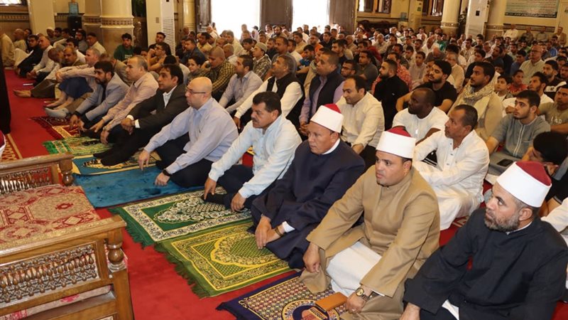 محافظ بنى سويف وعدد