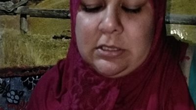 سيدة بالغربية تستغيث عاوزة حد يحمينى من جاري 