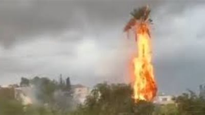 البرق يضرب المستوطنات في إسرائيل ويشعل النيران بالنخيل| فيديو