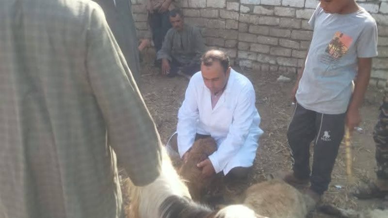 من اعمال الحملة القومية