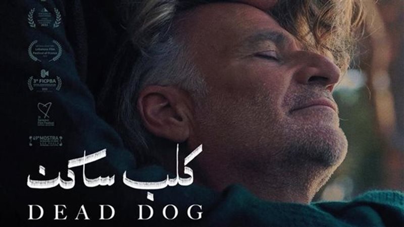 فيلم كلب ساكن 