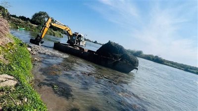 استجابة لـ«نيوز رووم».. محافظ دمياط يوجه بإزالة ورد النيل وتطهير مجرى النهر