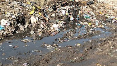 أهالي طوخ يستغيثون بمحافظ القليوبية بسبب إهمال طريق (عزبة معوض – خلوة سنهرة)