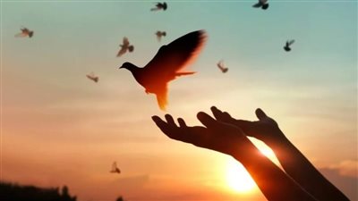 في اليوم العالمي للتسامح.. ٥ خطوات بسيطة تعود عليك براحة أكبر وسلام داخلي