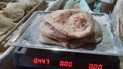 تحرير 57 مخالفة متنوعة للمخابز البلدي والسياحي فى حملة تموينية بالغربية 