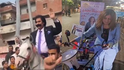 «الحصان والعجلة» أحدث وسيلة للوصول إلى قبة البرلمانية في عصر التكنولوجيا