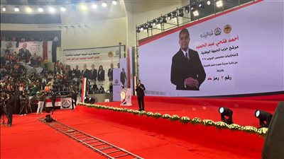 علاء فؤاد: القائمة الوطنية من أجل مصر مشروع وطني قادر على مواجهة التحديات