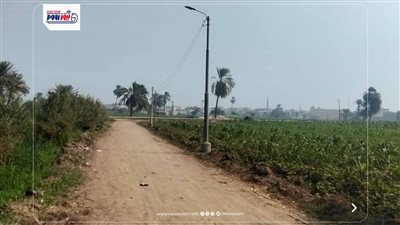 بعد 30 عامًا من المعاناة.. تطوير طريق صفانية – عزبة شلبي