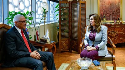 وزيرة التنمية تبحث مع محافظ شمال سيناء الموقف التنفيذي للمشروعات التنموية