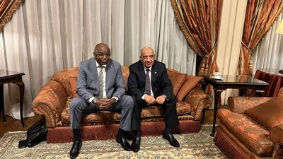 مصر وتشاد يبحثان سبل دعم الشراكة والتعاون فى مختلف مجالات الكهرباء  