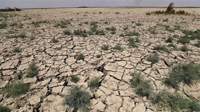 تدهور 34% من الأراضي الزراعية عالميًا.. مسؤول أممي يحذر