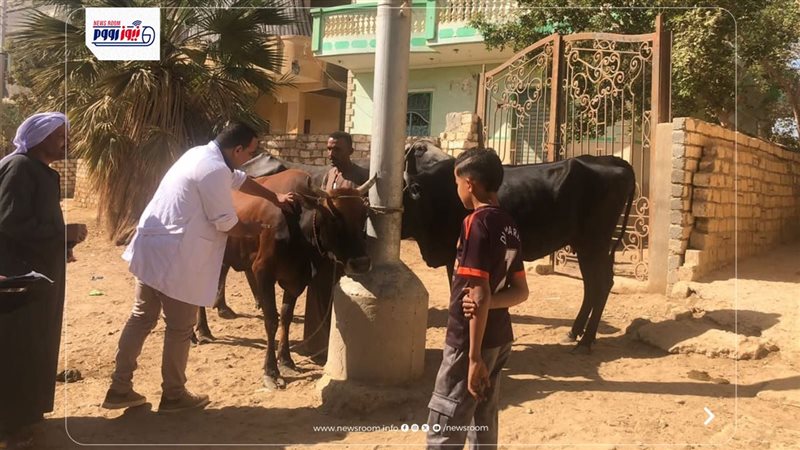 تلقيح ماشية 