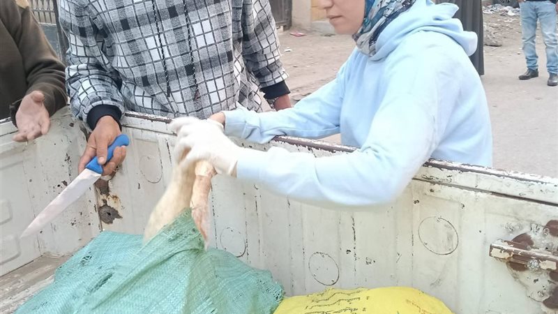 من حملات الطب البيطري