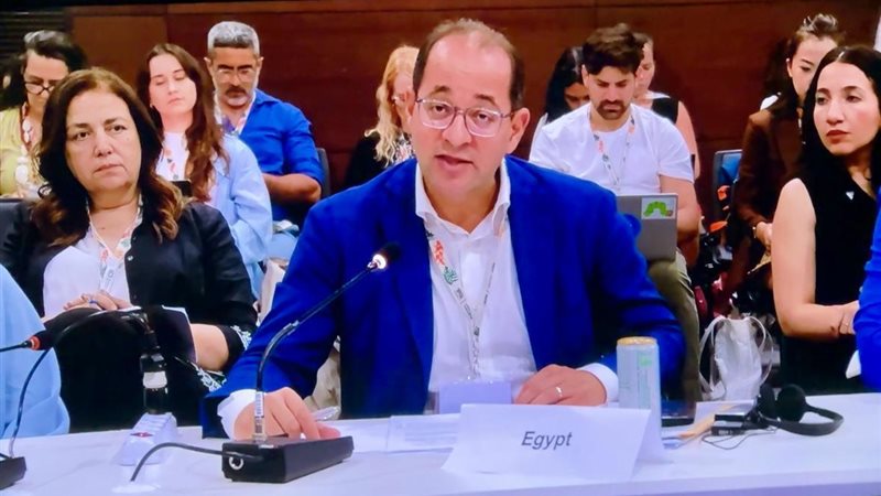 وزير المالية 