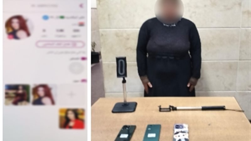 صانعة المحتوى 