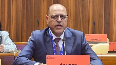 وزير العمل يشارك في اجتماعات مجلس إدارة منظمة العمل الدولية في جنيف