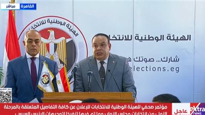 «الوطنية للانتخابات»: أي إخلال بالإجراءات يبطل اللجنة بالكامل.. والفحص مستمر 