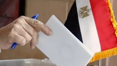 مرشح «المصري الديمقراطي الاجتماعي» بدمنهور يتقدم بتظلم رسمي لبطلان الانتخابات 