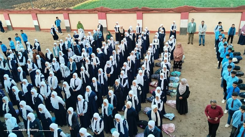 مدير تعليم دمياط