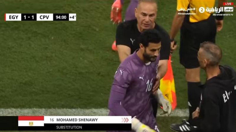 الشناوي وحسام حسن