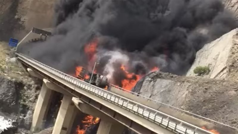 الصورة المتداولة