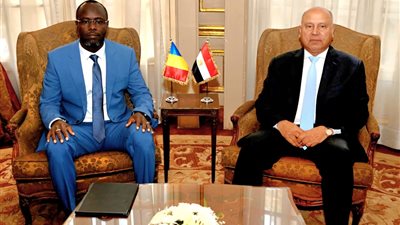 قمة مصرية تشادية تمهد لممر تجاري عملاق.. مجازر ومزارع جديدة بتمويل مشترك