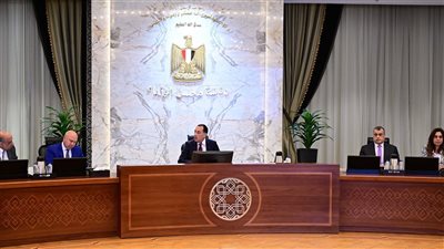 رئيس الوزراء يترأس اجتماع المجلس الأعلى للطاقة|صور