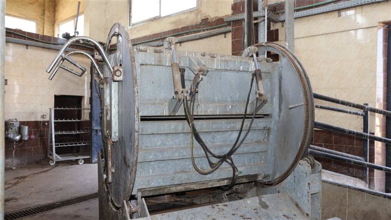 جانب من المجزر