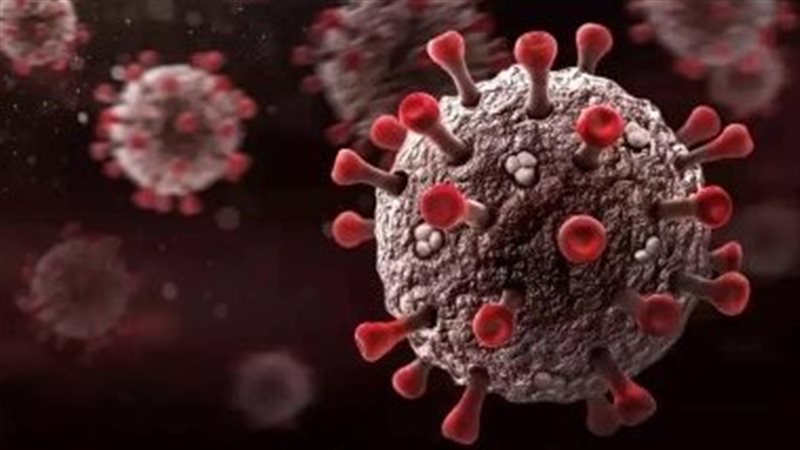 صورة موضوعية