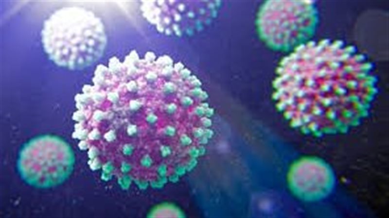 صورة موضوعية