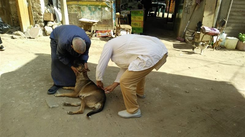 جانب من الحملة 