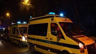 انقلاب جرار صيانة إثر اصطدامه بقطار بضائع بمحطة التوفيقية  ايتاي البارود 