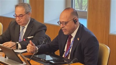 وزير العمل يلتقي بمديرعام منظمة العمل الدولية لمناقشة مسارات العمل الفني