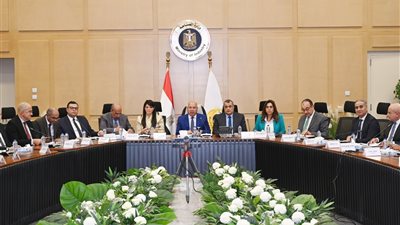 الحكومة توافق للمنطقة الاقتصادية لقناة السويس لزيادة كميات الطاقة لـ 7 شركات