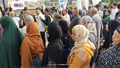 بالأسماء.. هدوء انتخابي يسود دوائر المنيا بعد إعلان نتائج الجولة الأولى 2025
