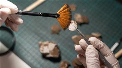 اكتشاف مدينة من العصر البرونزي في سهوب الكازاخستان